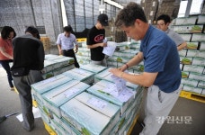 화천 애호박 농가 돕기 전국 확산