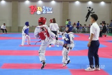 제10회 동해무릉기 강원학생 태권도 대회 개막