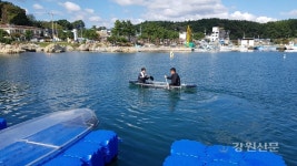 FIRA 동해본부, 체험형 바다숲 운영