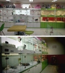 강아지 분양, 사전검진부터 사후관리까지 철저한 ‘스누피펫’에서