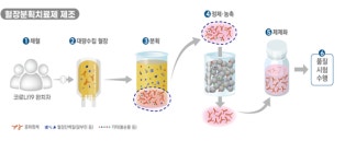 GC녹십자, 코로나19 혈장분획치료제 2상 승인
