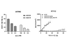 [Pipeline Review][에임드바이오]ADC 임상 진입, 키포인트는 방관자 효과