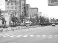 ‘명품도로’라더니 애물단지 전락