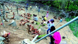 하동 영농법인 청솔원 ‘동물복지 축산농장’ 인증