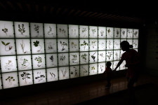 한의학 맥 따라, 약초의 향 따라, 힘나는 나들이