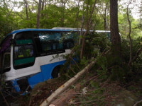 남해 금산서 버스 추락…46명 중경상