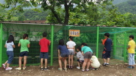 고성 하일초에 ‘감성 쑥쑥 동물농장’