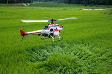 합천군, 무인헬기 이용 벼 병해충 공동방제