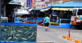 魚? 두번 열리는 마산어시장 축제