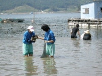 진주 삼현여중, 남해 왕지 등대마을서 갯벌체험