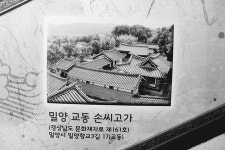 밀양 ‘밀성 손씨’를 ‘교동 손씨로’