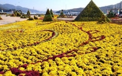 가고파 국화축제 개막