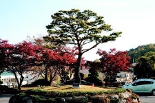 합천군청 ‘1124 청렴송’에 담긴 뜻은?