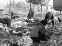 고성선관위, 공명선거 쉼터 정비