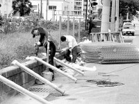 진해선 철로변 울타리 설치