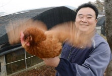 [사람속으로] 김·일·한 한국토종닭협회 부산경남지회장