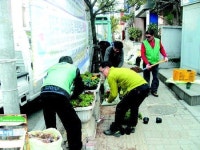 통영시 정량동 “거리에 봄꽃 심어 관광객 맞이해요”