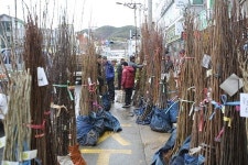 ‘어떤 나무 심어볼까’  나무시장 북적