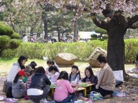 ‘고향의 봄’ 창원선 예술의 꽃 피고