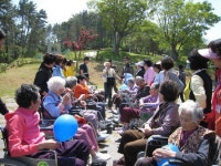 통영 용남면 주민자치위, 어르신들과 봄나들이