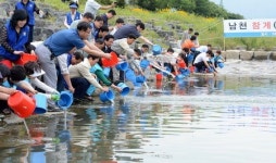 창원 남천에 어린 참게 방류