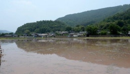 경남의 마을   아, 본향! <17> 의령군 부림면 입산마을