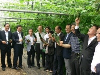 함양 물레방아떡마을 ‘여주 축제’