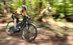 내가 가면 그곳이 길… 산바람 맞으며 신바람 라이딩