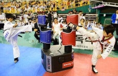 창원서 경찰태권도협회장기 전국대회