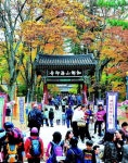 가장 사랑받는 합천 관광지는 ‘해인사’