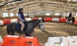 “말띠 해엔 말을 타잔 말이오”