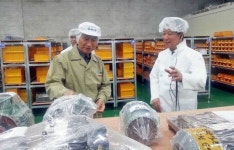 NH농협은행, 도내 중소기업서 ‘현장 마케팅’