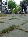 위험한 보도블록