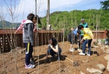 하동 적량초, 무궁화 동산 조성