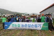 농협 통영시지부, 마늘 수확 일손돕기