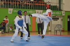 창원(시부)·함안(군부) 독주 속 2위 다툼 관심