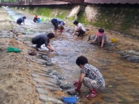 진해 여좌천에 ‘재첩’