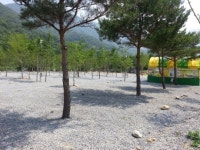 표충사 공영주차장이 오토캠핑장 둔갑