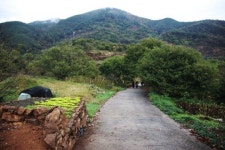 “내달 지리산 힐링로드 대장정 도전하세요”