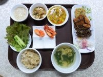 (1) 통합암치료 - 진영제암요양병원  ③ 면역영양치료