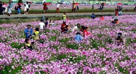 하동 북천역의 가을