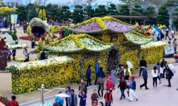 꽃내음 가득한 바다