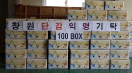 창원 의창구청에 단감 100상자 익명 기부