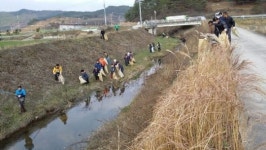 창녕 이방면, 우포늪·목포늪 유입하천 청소