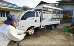 ‘구제역 차단’ 방역 중