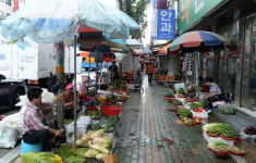 마산어시장 노점 단속 한달…어떻게 변했나