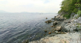 창원 구산면 저도 비치로드 로드뷰 서비스 제공