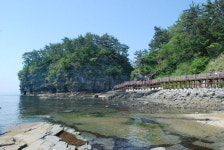 심재근의 우리땅 순례 (106) 고성 (16) 상리면 향운다원~하일면 학동 옛 담장