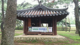 “하동송림서 책 읽으며 피서하세요”