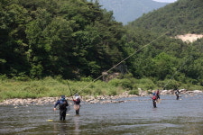 산청군, 치어 방류만 하면 끝?